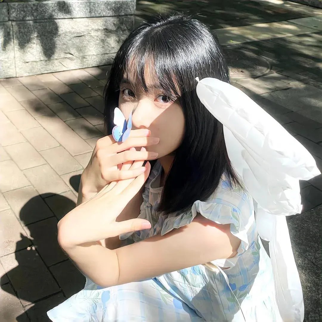 夏日的玫瑰